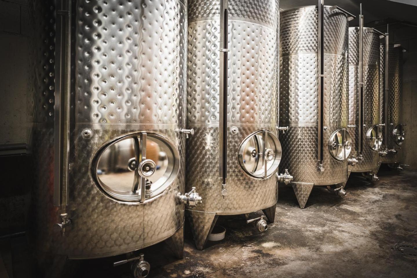 Weingut Gaestehaus D&D Haider Jois Exteriér fotografie