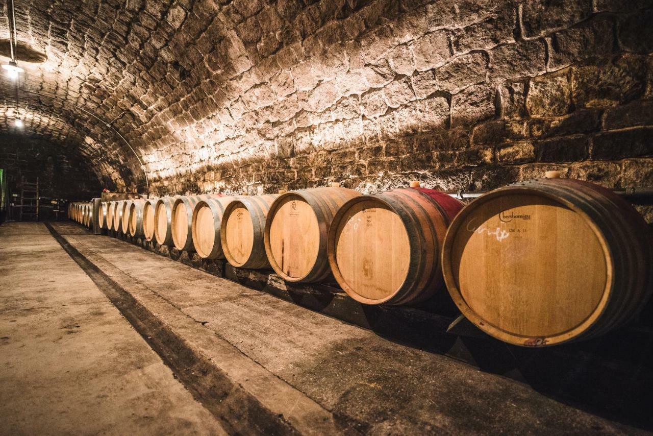 Weingut Gaestehaus D&D Haider Jois Exteriér fotografie